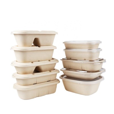 Microwave Safe Compostable Takeout Food Packaging Containers Disposable Sugarcane Paper Pulp Lunch Box